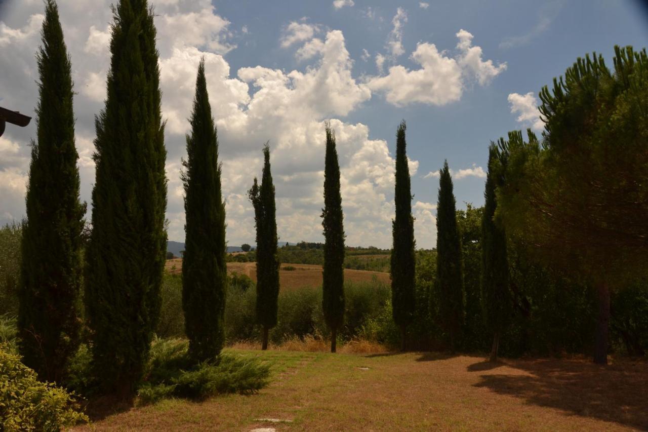 Agriturismo La Casetta Del Sole Villastrada  Exterior foto