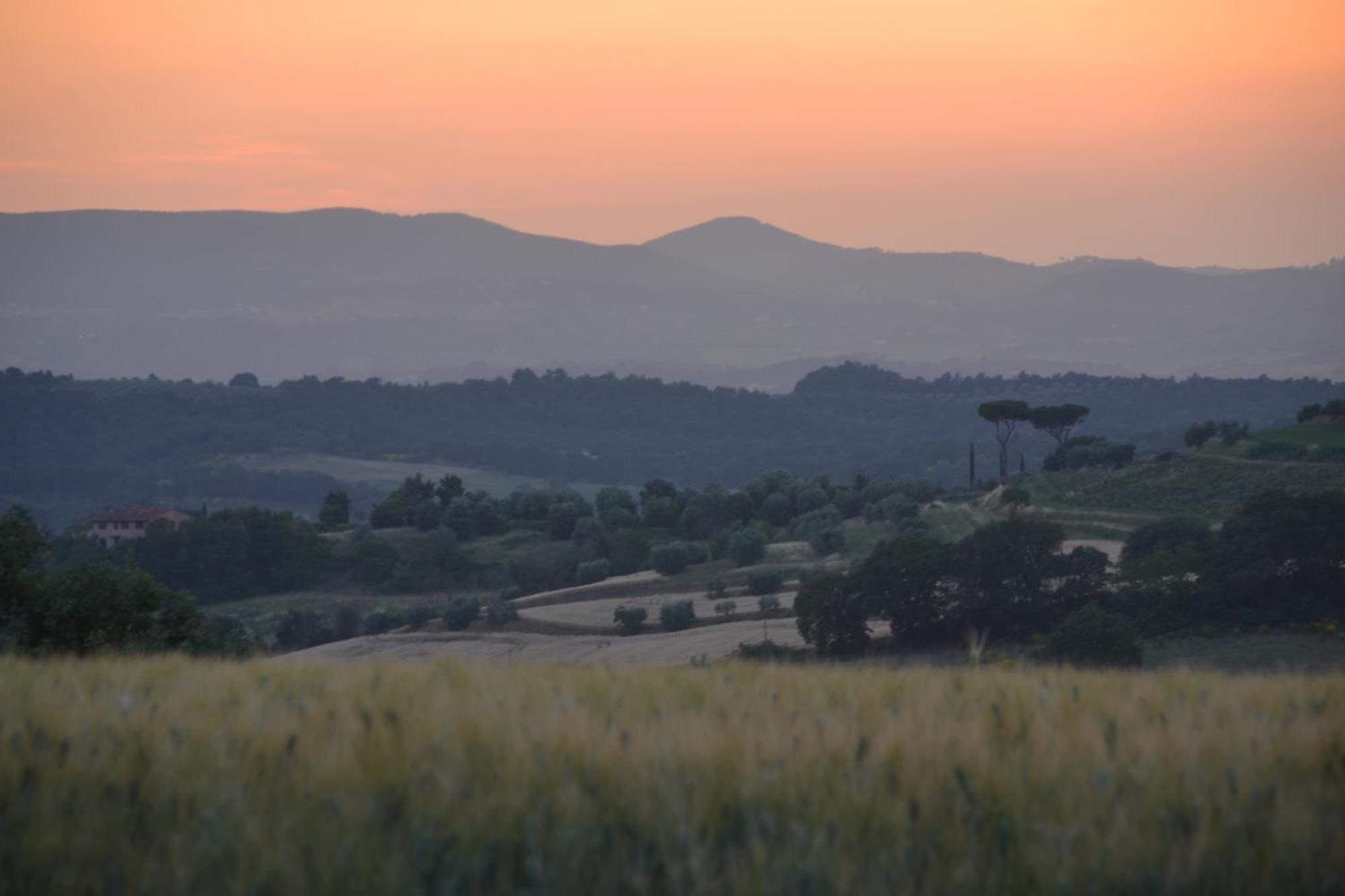 Agriturismo La Casetta Del Sole Villastrada  Exterior foto